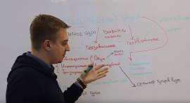 Типы поисковых запросов в SEO