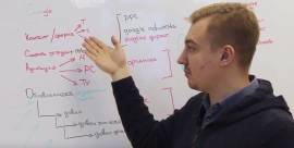 Работа поисковых систем