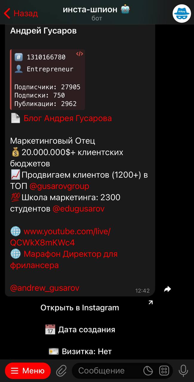 Инста-шпион