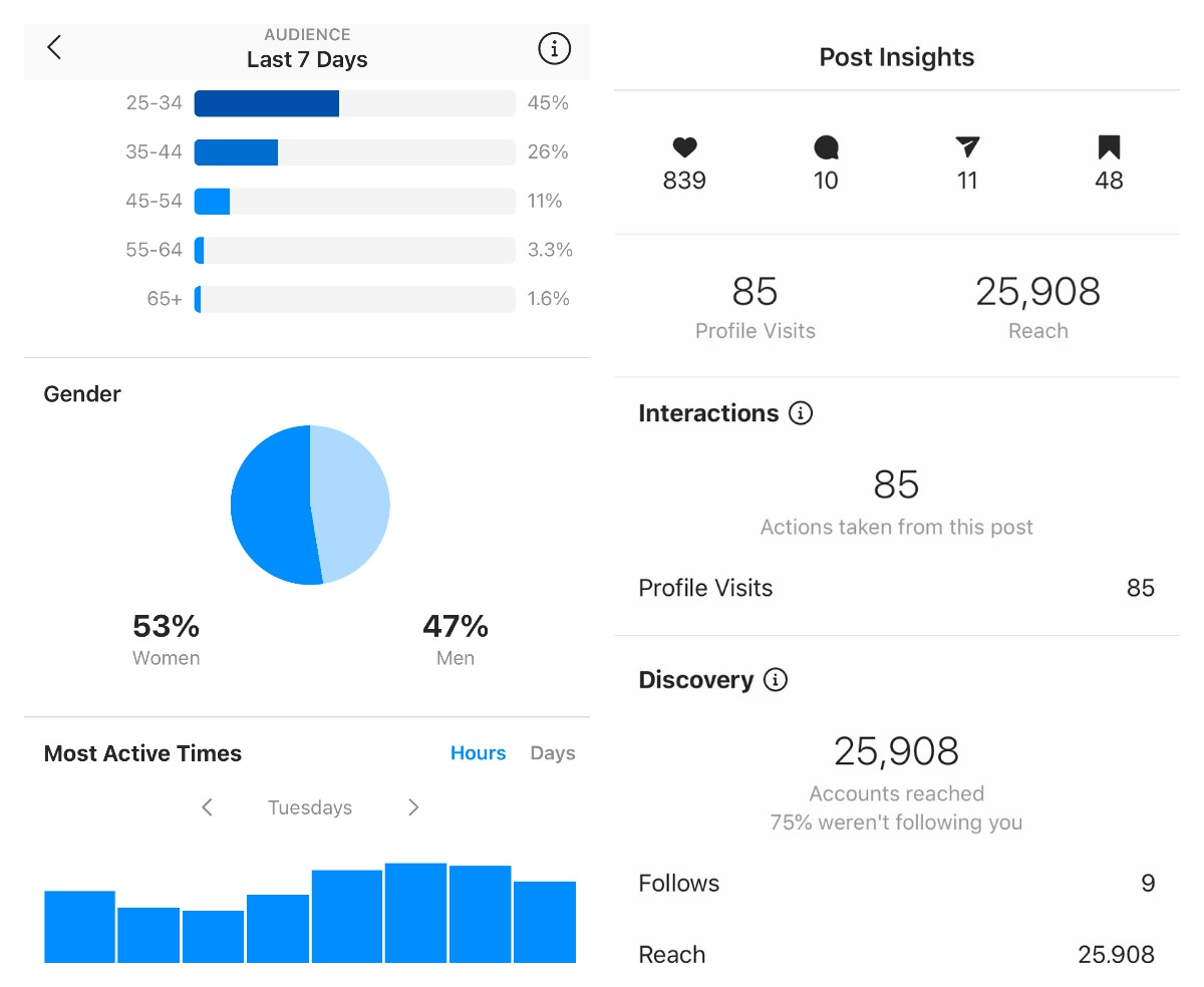 Интерфейс и пример работы с Instagram Insights