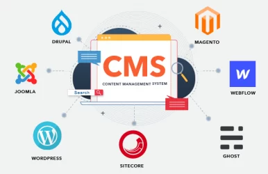 CMS для сайта — самые популярные движки, плюсы и минусы для интернет-магазина, блога, портала, СМИ