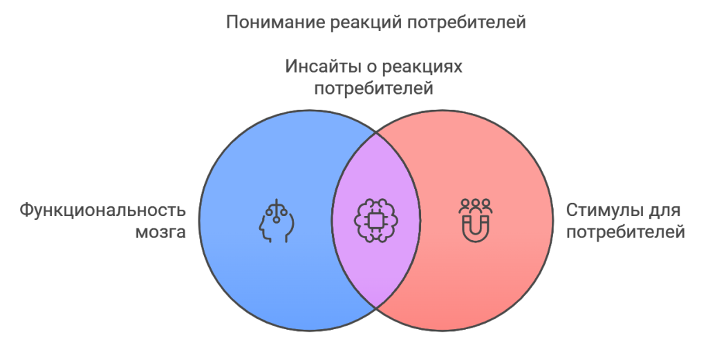 Функционирование мозга